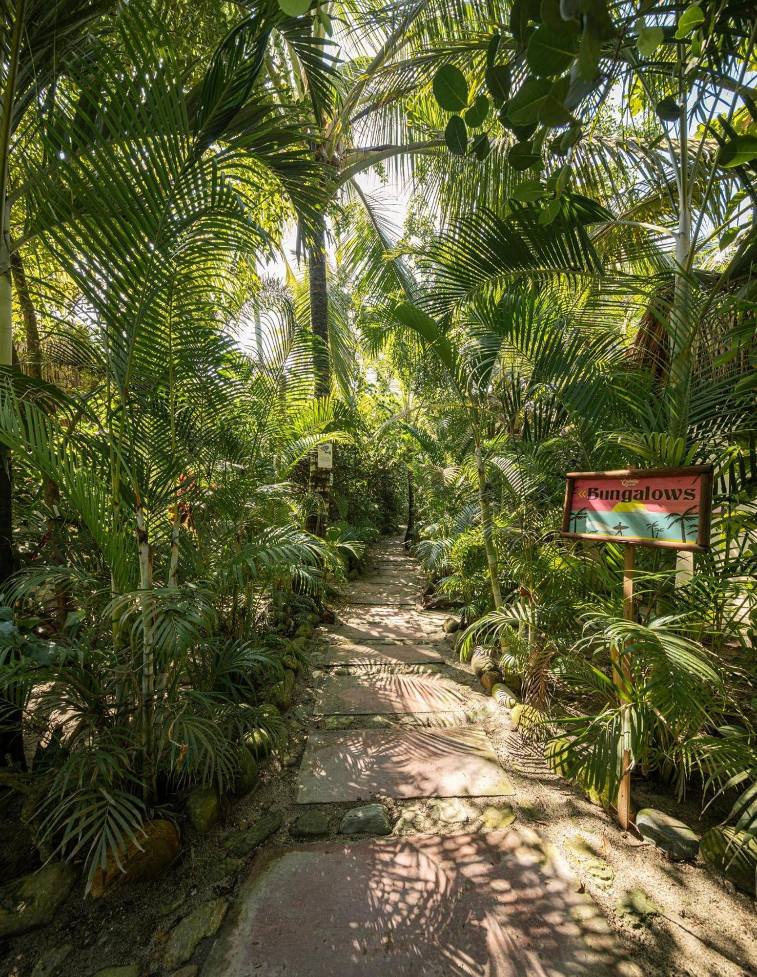 Hotel Costeno Beach Santa Marta  Exteriér fotografie